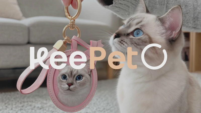 Video of handmade pet leather carving - KeePetO